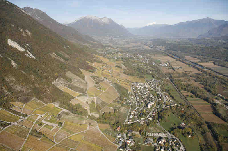 Vignoble arbin montmelian.JPG